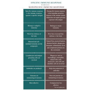 Difference-Between-Specific-and-Nonspecific-Immune-Response-Comparison-Summary.png