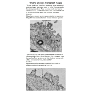 ElectronMicroscope-1-473x1024.jpg