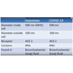 ExosomeCovid19.png