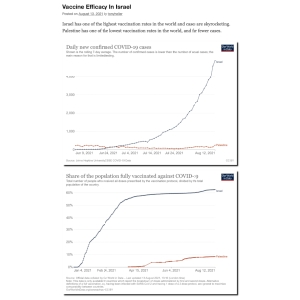 VaccineEfficacyInIsrael.png