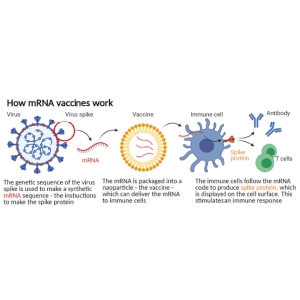 mrna-graphic.png